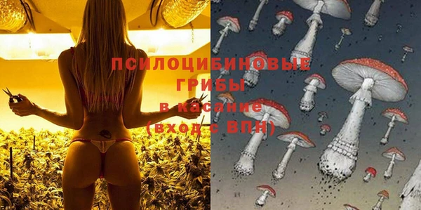 мескалин Алексин