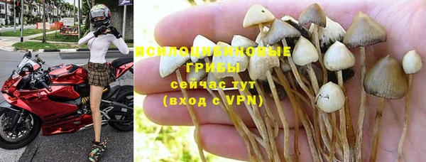 дмт Алексеевка