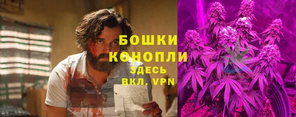 гидропоника Алзамай