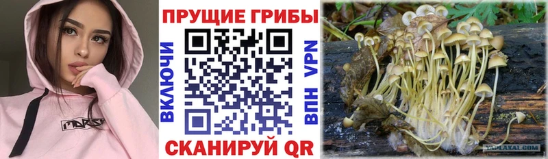 Псилоцибиновые грибы MAGIC MUSHROOMS  Киселёвск 